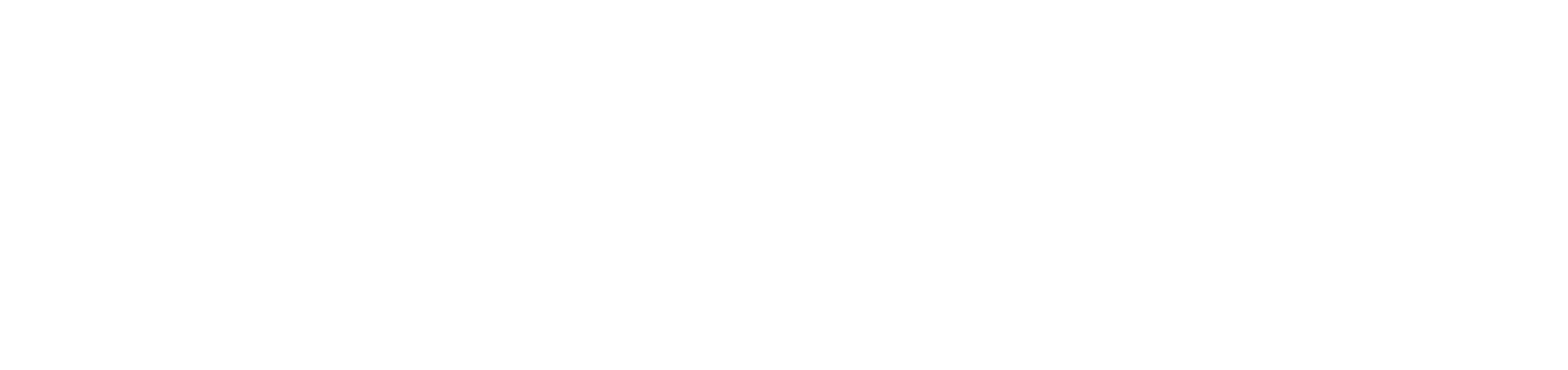 IQ LIBER Pvt. Ltd. Logo White